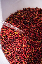 China Torch Estate Catimor House Espresso - Traditional Washed