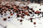 China Yunlan Estate Geisha - Traditional Washed