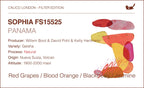 Panama Sophia FS15525 Geisha — Natur