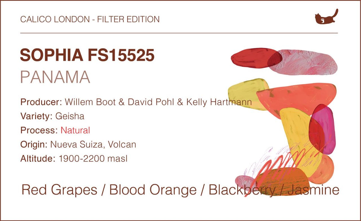 Panama Sophia FS15525 Geisha — Natur