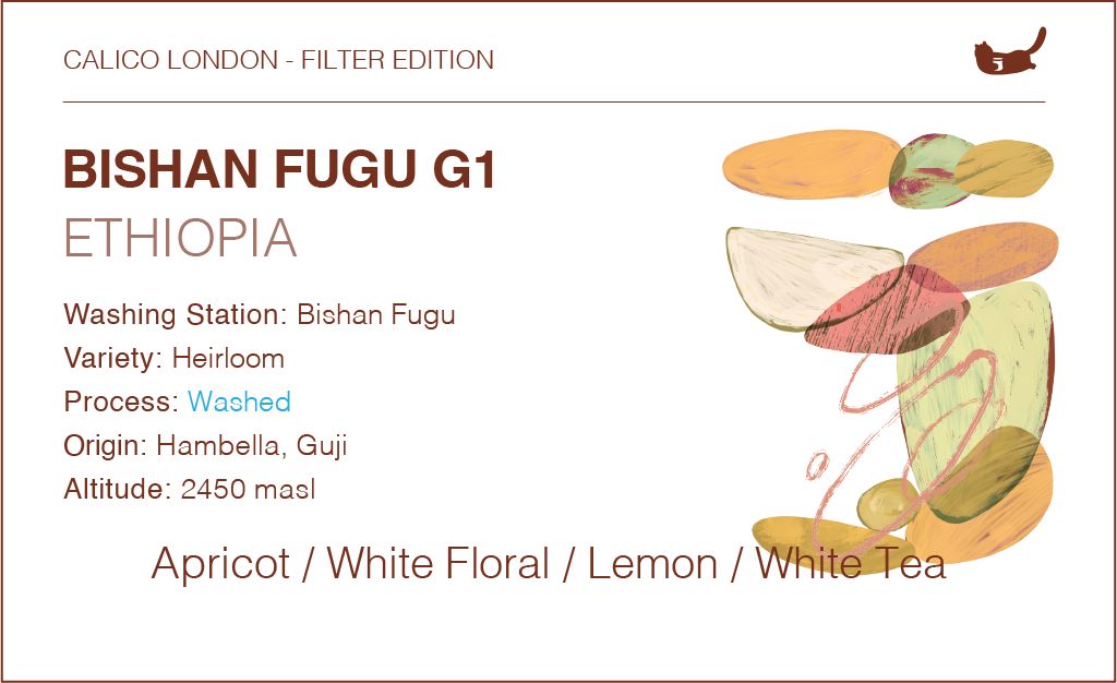 Ethiopia Bishan Fugu Heirloom G1 (Washed)