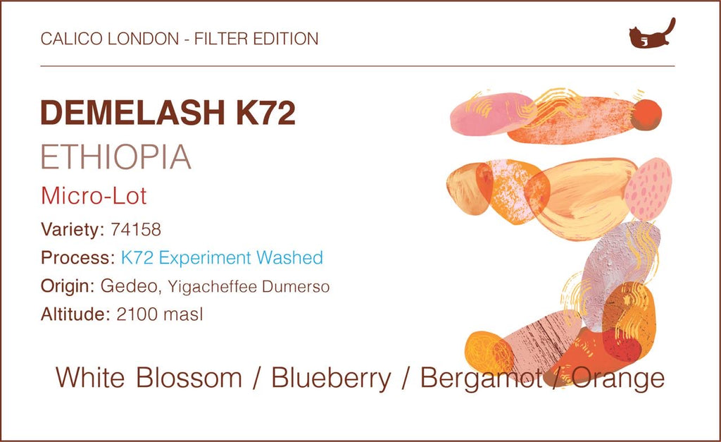 Ethiopia Demelash - K72 Experimental Double Washed (micro lot)