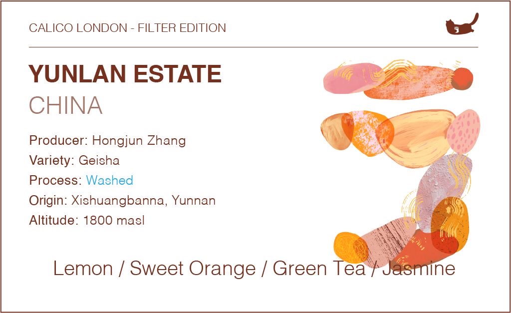 China Yunlan Estate Geisha - Traditional Washed