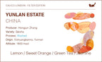 China Yunlan Estate Geisha - Traditional Washed