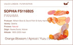 Panama Sophia FS116B25 Geisha — Natural