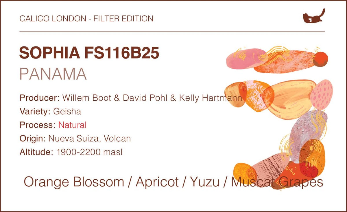 Panama Sophia FS116B25 Geisha — Natural