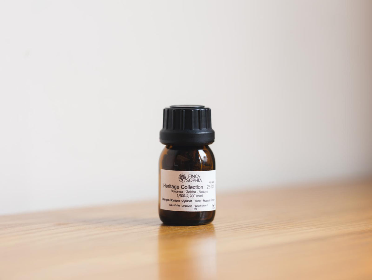 Panama Sophia FS116B25 Geisha — Natural
