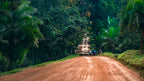 Kenya Tatu Estate AA - Washed