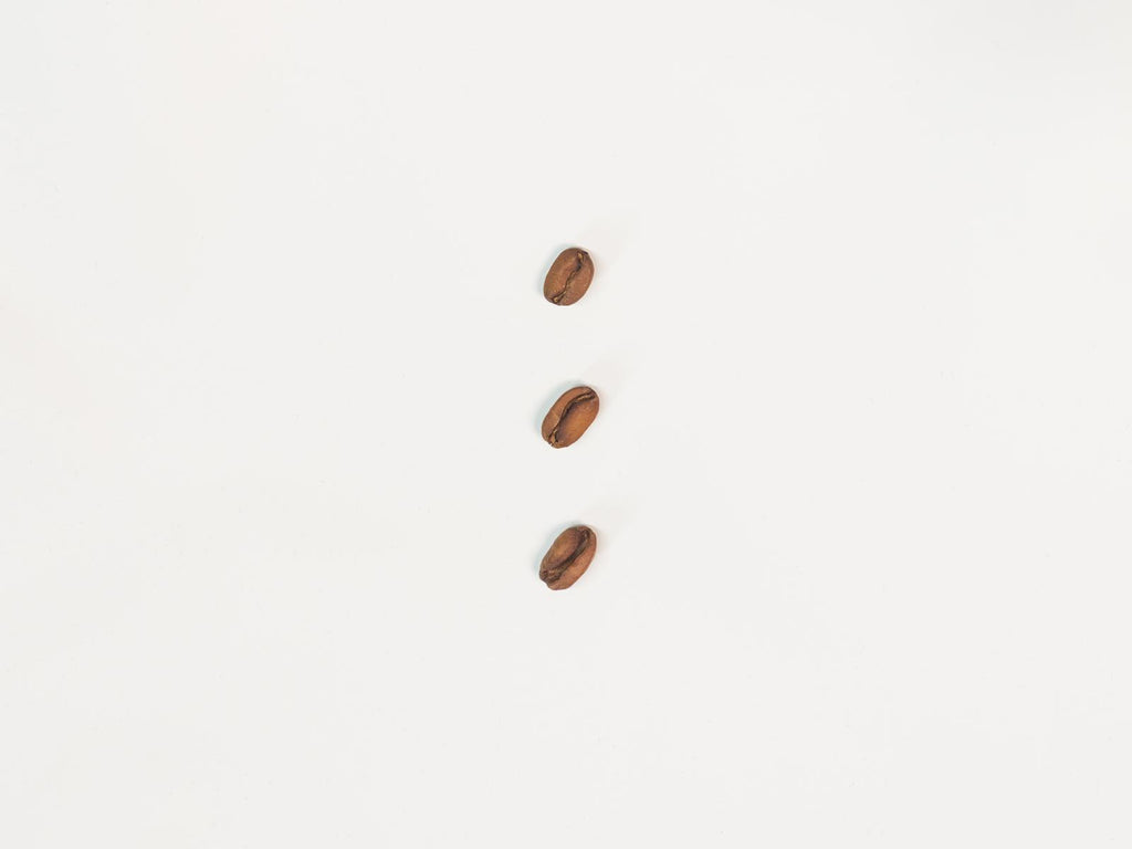 Panama Sophia FS116B25 Geisha — Natural