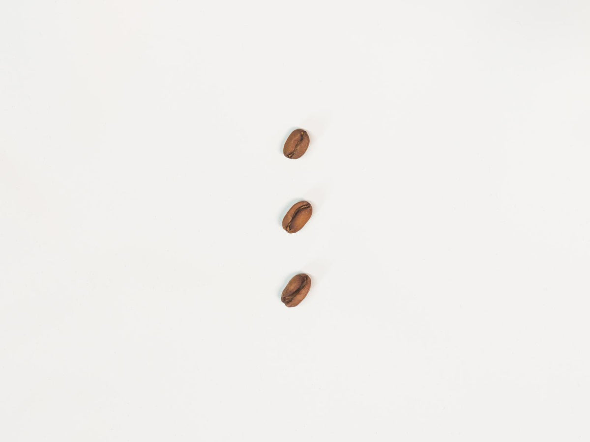 Panama Sophia FS116B25 Geisha — Natural