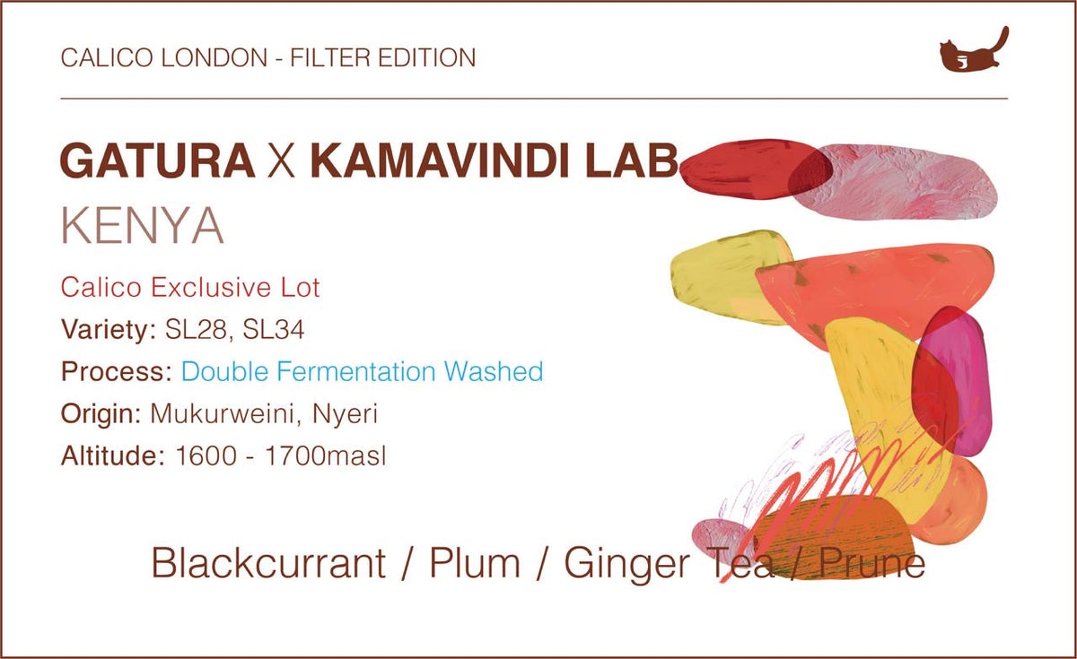 Kenya Gatura x Kamavindi Lab SL28 & SL34 — Double Fermentation Washed
