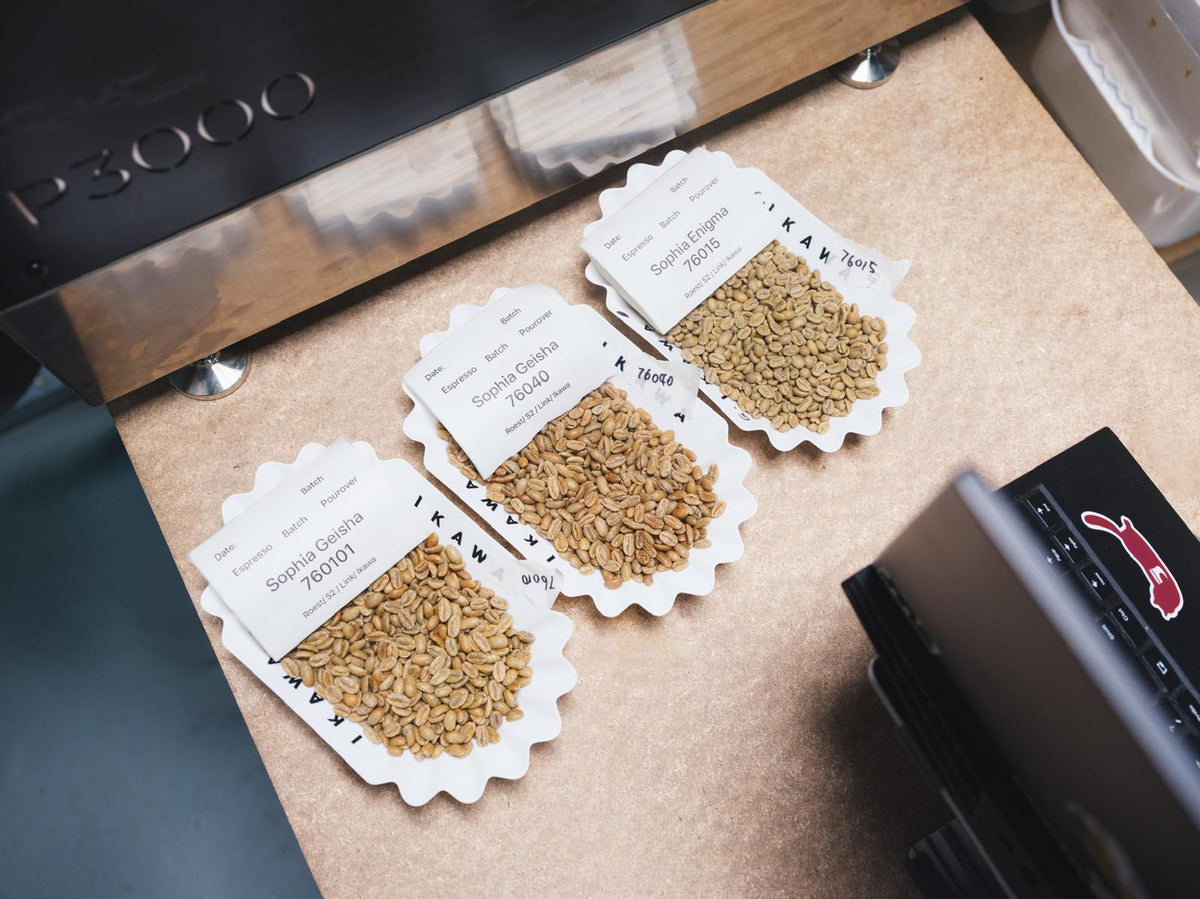 Panama Sophia FS2525 Enigma — Natural