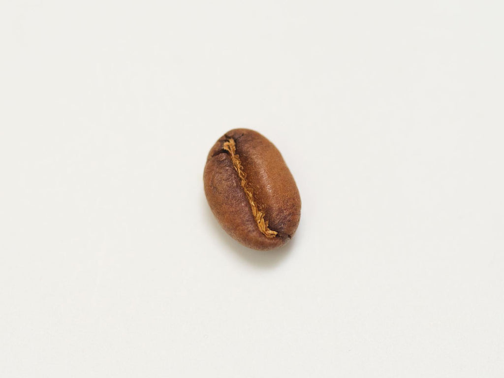 House Espresso 1KG - SOE