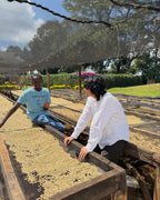 Kenya Kamavindi AA - Natural