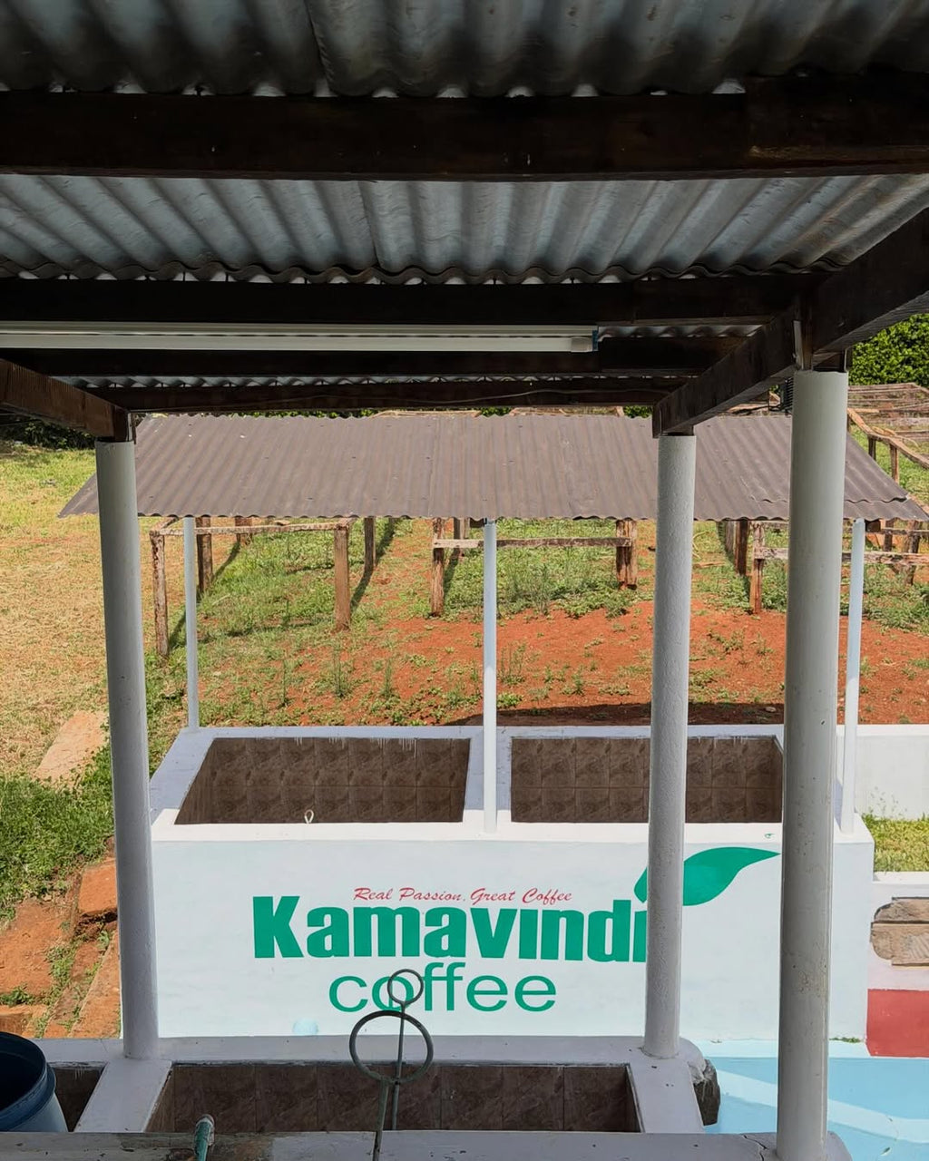 Kenya Kamavindi AA - Natural