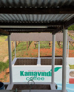 Kenya Kamavindi AA - Natural
