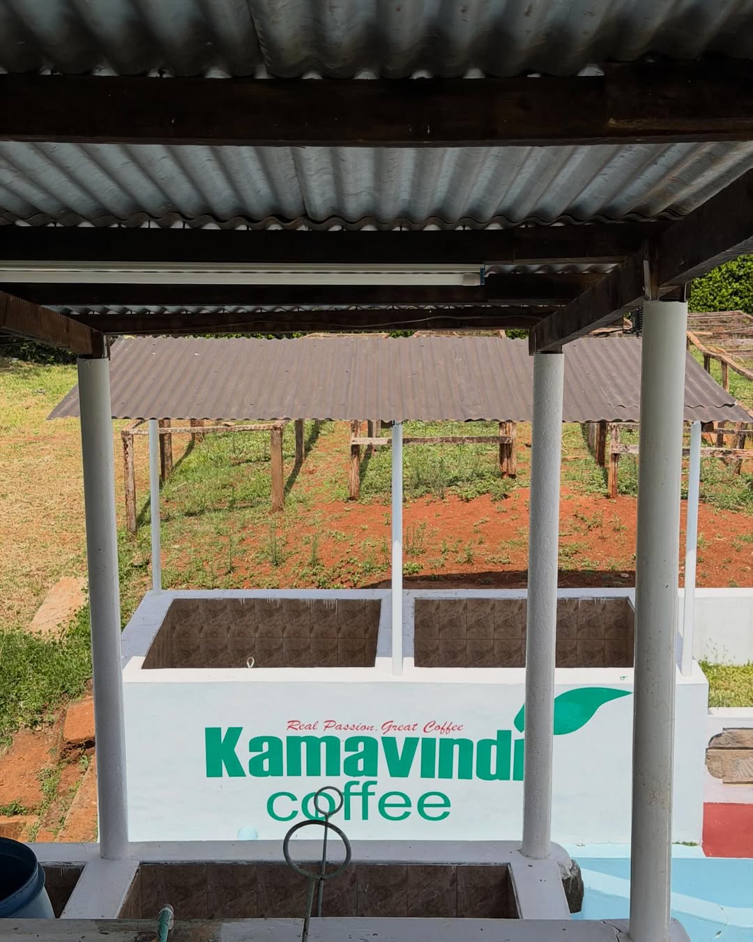 Kenya Kamavindi AA - Natural