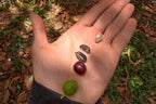 Panama MT. Totumas Typica - Washed