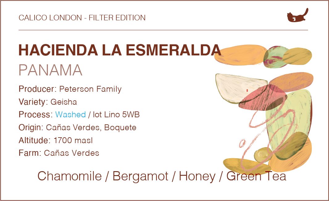 Panama Hacienda La Esmeralda Geisha (Washed)