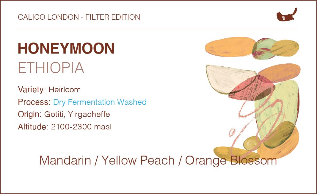 Ethiopia Gotiti Honey Moon - Dry Fermentation Washed