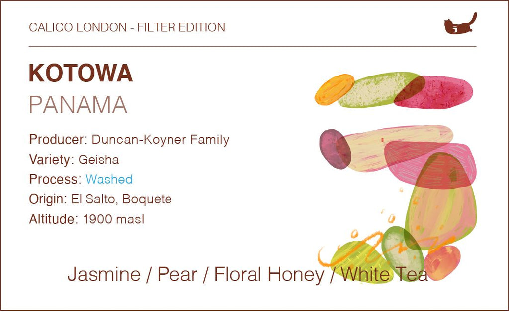 Panama Kotowa Geisha - Washed