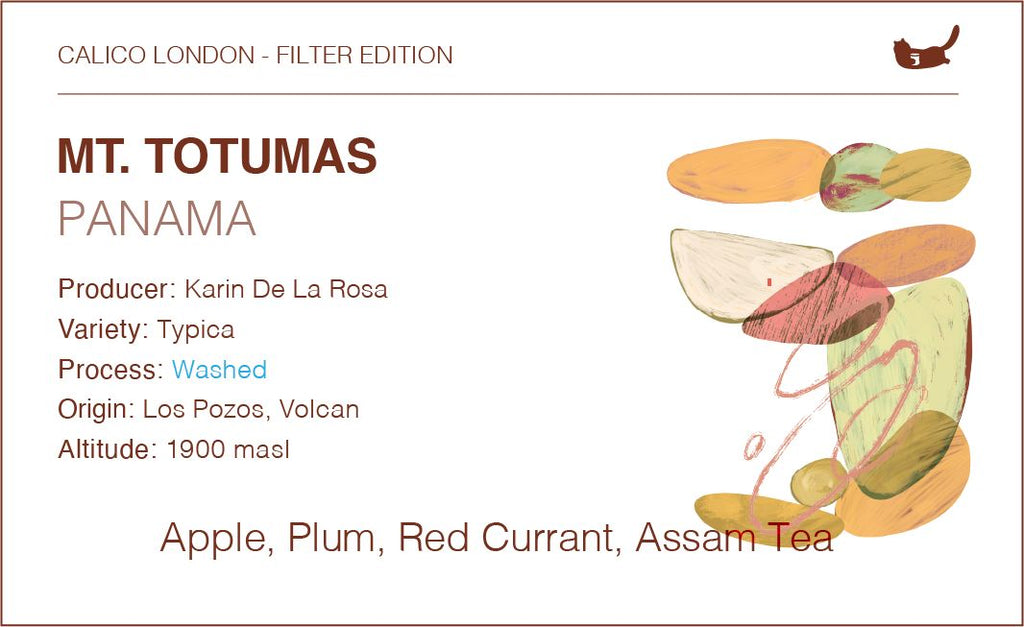Panama MT. Totumas Typica - Washed