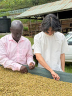 Kenya AB Mukuyuni - Traditional 72 Hours Washed