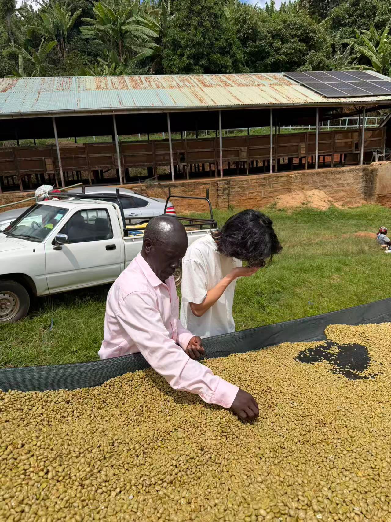 Kenya AB Mukuyuni - Traditional 72 Hours Washed