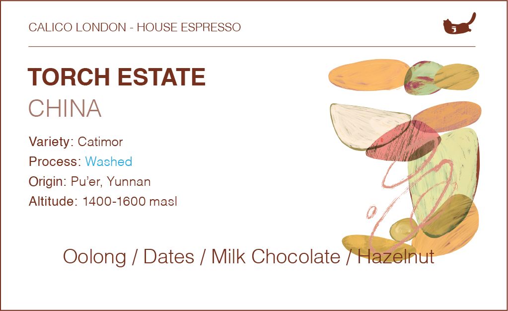 China Torch Estate Catimor House Espresso - Traditional Washed