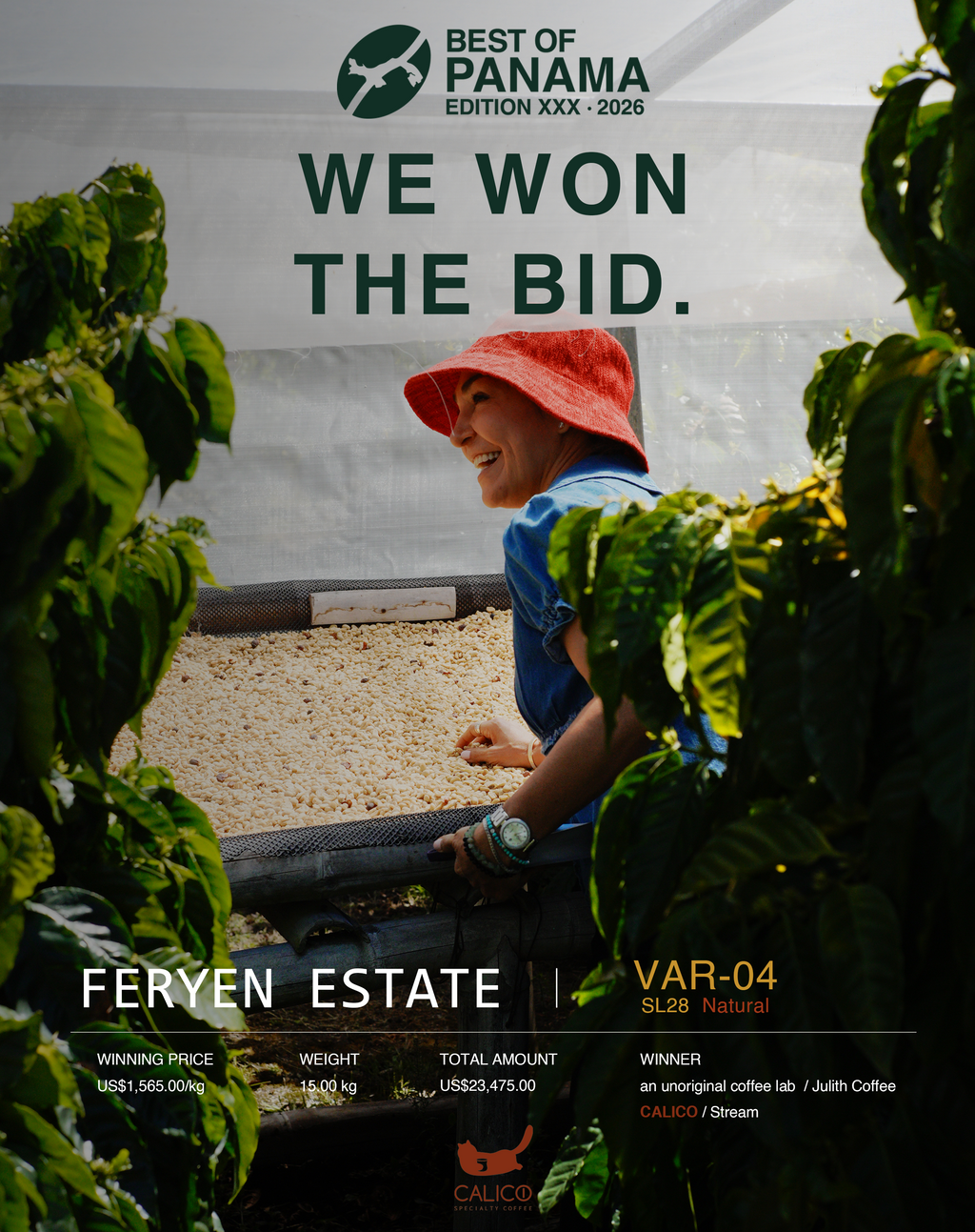 BOP 2026 Panama Feryen Estate SL28 Natural VAR-04 — 15g
