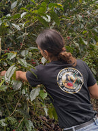 Panama Kotowa Geisha - Washed