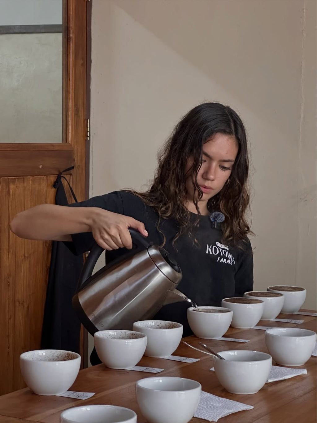 Panama Kotowa Geisha - Washed