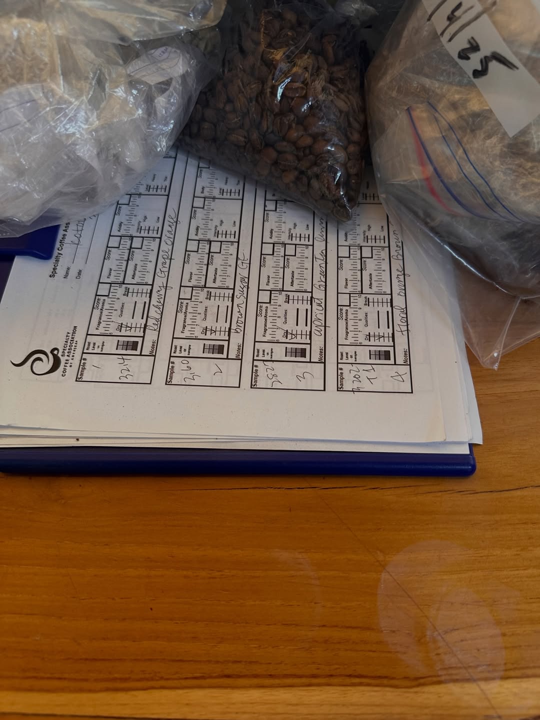 Panama Kotowa Geisha - Washed